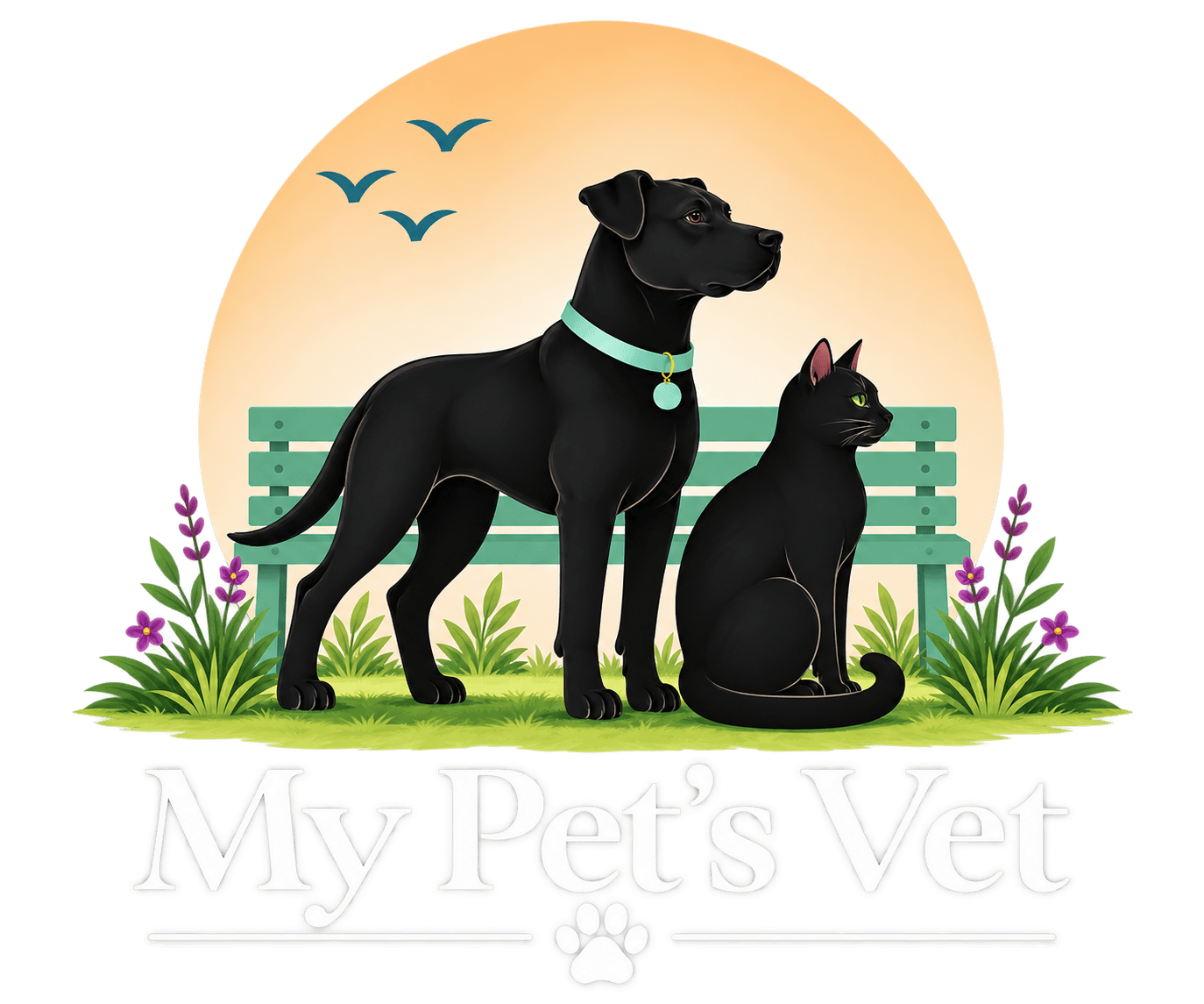 My Pet's Vet